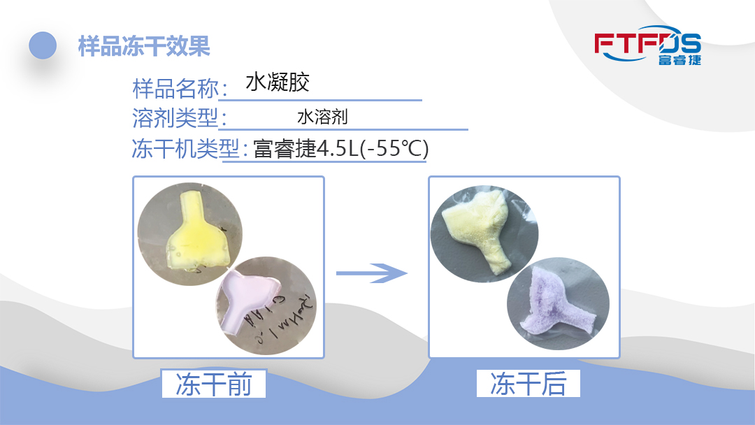 水凝胶冷冻干燥-通宝TB222冷冻干燥效果